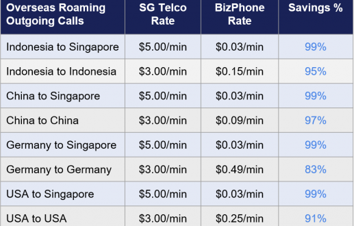 BizPhone Roaming Outgoing Call Savings BizPhone Roaming Outgoing Call Savings